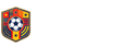 意甲直播